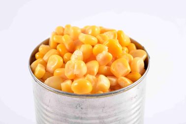 Maíz dulce en conserva con sal, grano entero, para tu restaurante
