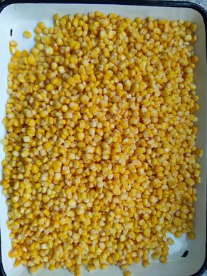Peso de drenaje 1800 G de maíz dulce enlatado con tapa abierta dura Granos de maíz enlatados adecuados para restaurantes y procesamiento de alimentos