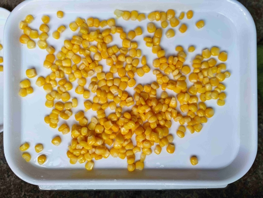 Maíz amarillo enlatado y súper dulce seleccionado a mano