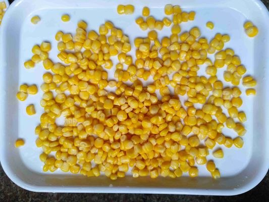425 g de peso neto de maíz dulce enlatado - Maíz dulce enlatado listo para el uso de alta calidad para la industria alimentaria