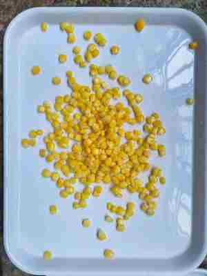 Sirope 7.5 a 9.0 Maíz amarillo enlatado en varios tamaños 90g 184g 340g y 425g Ideal para aplicaciones en la industria alimentaria