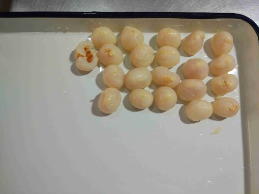 15 onzas concentran la fruta conservada del lichi del cultivo de GMO de la preservación